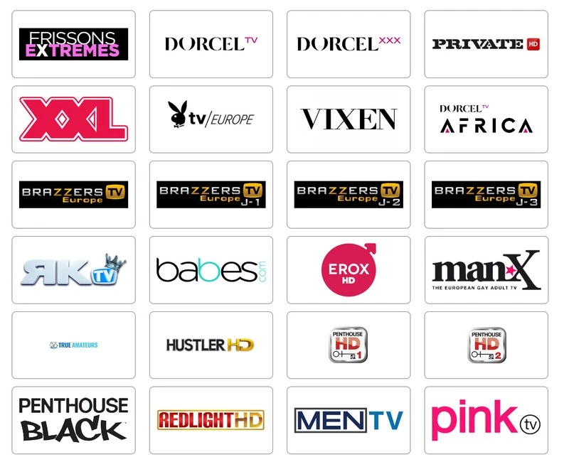 Visuel produit — Abonnement IPTV Adultes Smarters Pro de 12 mois « Plus »